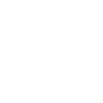 Business Angel Institute