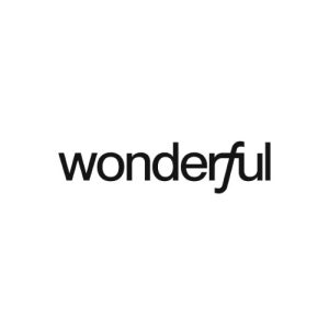 Wonderful logo